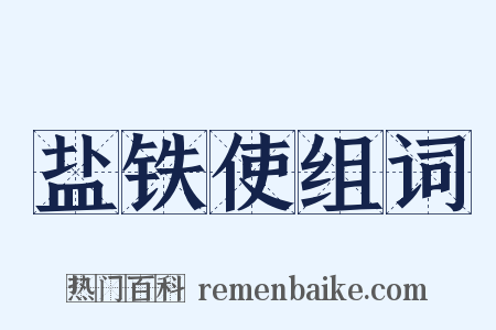 盐铁使组词是什么意思的图片